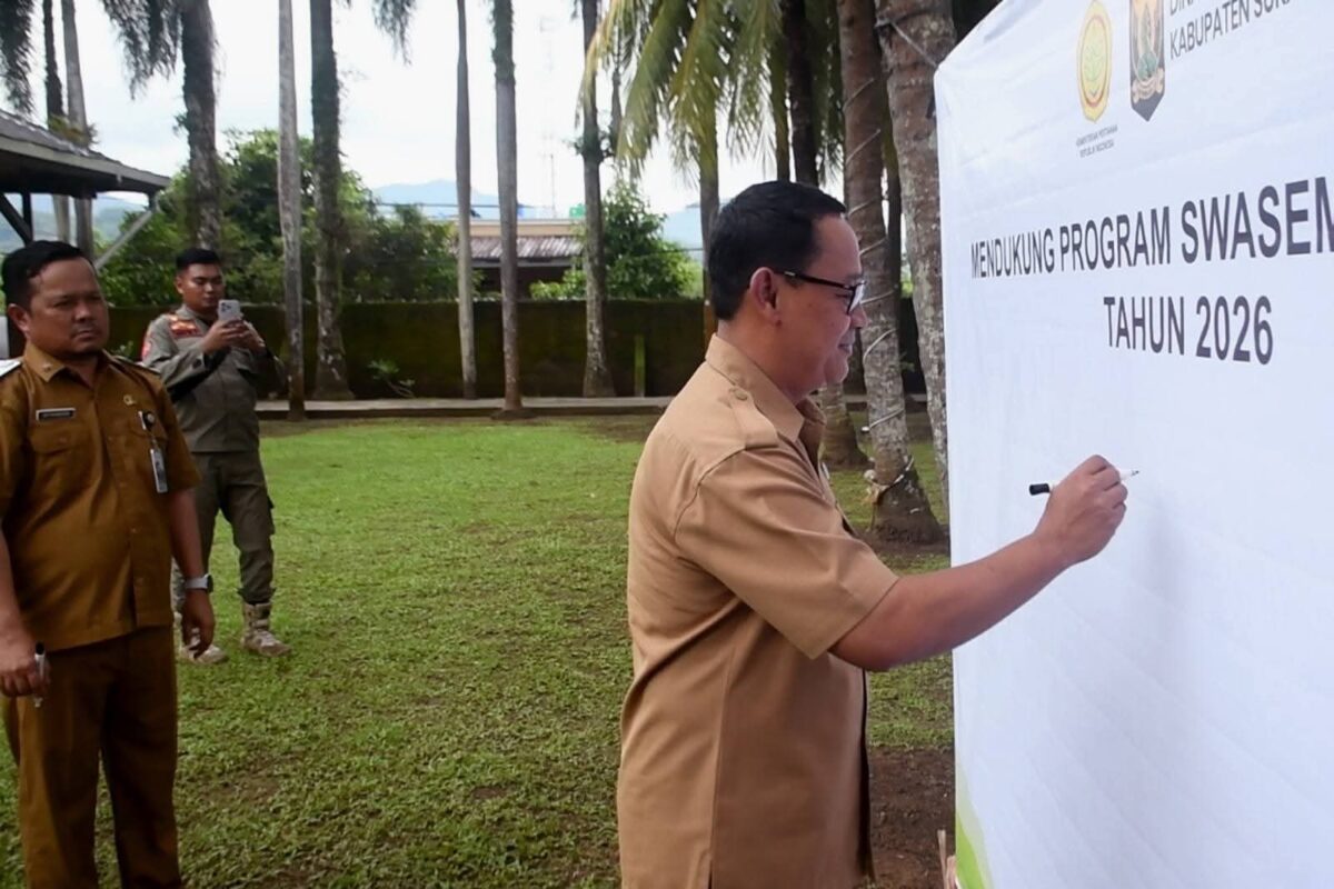 Produksi padi dan jagung Sukabumi melampaui target, varietas lokal padi terbanyak nasional. FB/Pemerintah Kabupaten Sukabumi