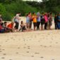 Saksikan penyu bertelur langsung di Pantai Pangumbahan, destinasi wisata edukasi unggulan Sukabumi.